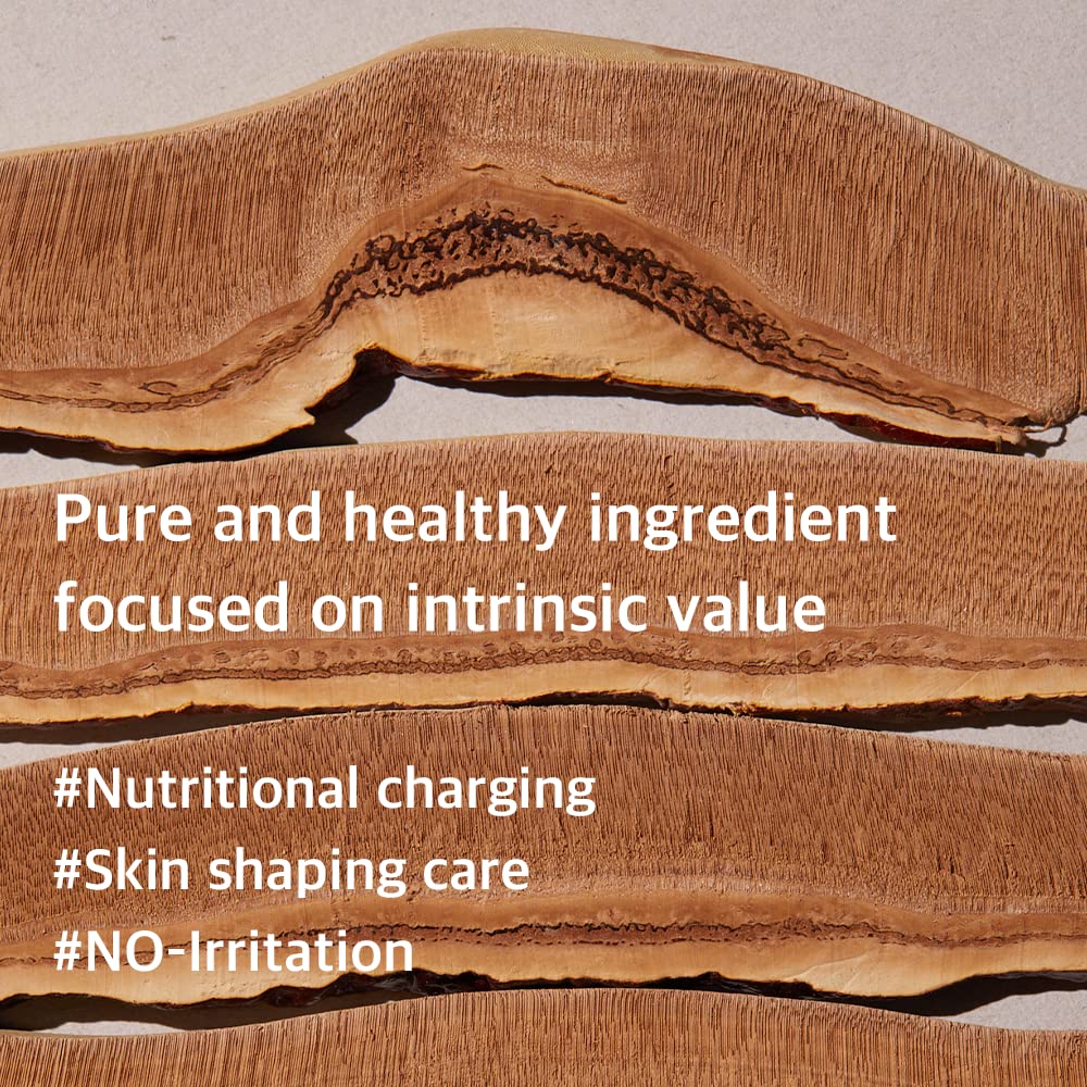 Reishi Mushroom Essence 100ml