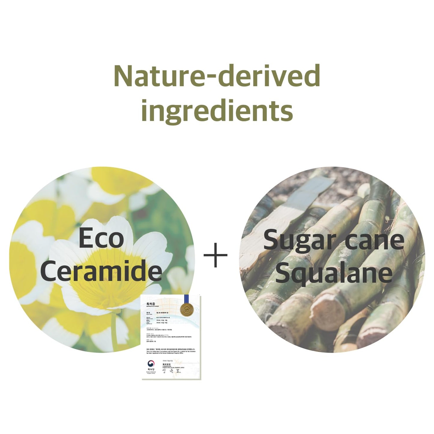 Soybean Cleansing Oil 200ml