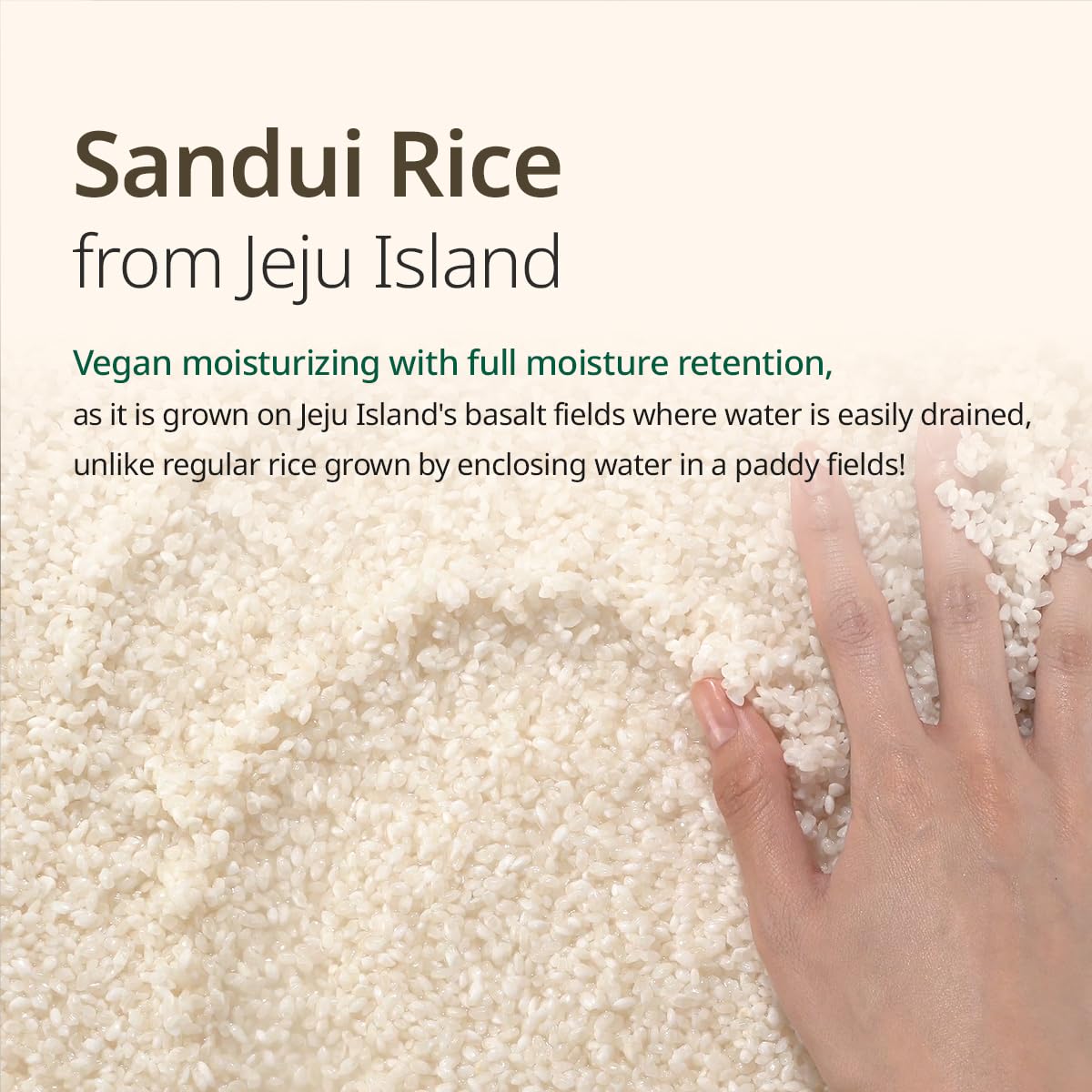 GOODAL VEGAN RICE MILK MOISTURIZING TONER