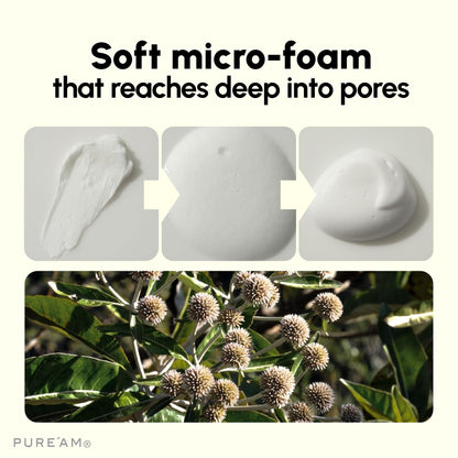 [PURE'AM] Amino Acid Mild Cleanser 120 ml