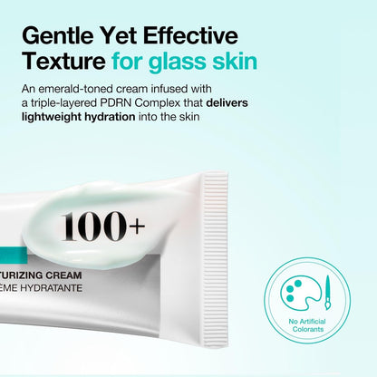 [ANUA] PDRN HYALURONIC ACID 100 MOISTURE CREAM 60ml